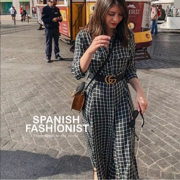 Zara Woman Green Plaid Check Button Front Dress - Picture 3 of 8